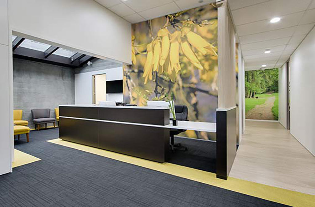 Riverside Dental Warkworth